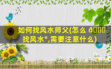 如何找风水师父(怎么 🐒 找风水*
,需要注意什么)